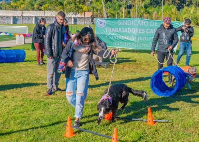 5-dia-del-animal-2024-san-fernando-1024x732