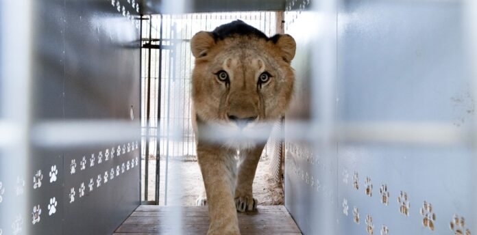 ex zoológico de Luján