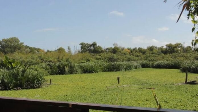 ribera norte