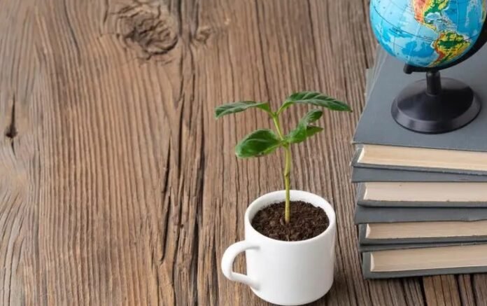 sostenibilidad y educación